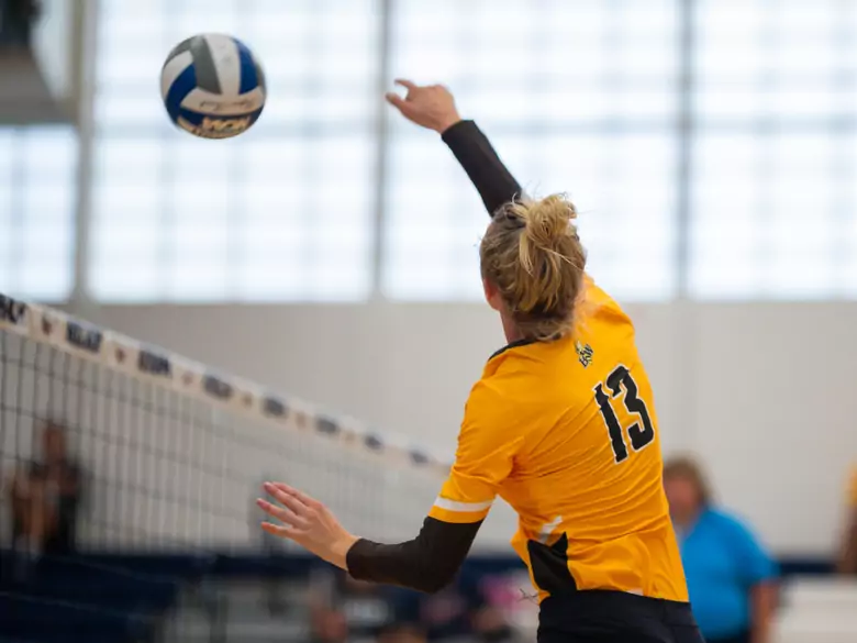 Was sind die Vorteile von Volleyball?