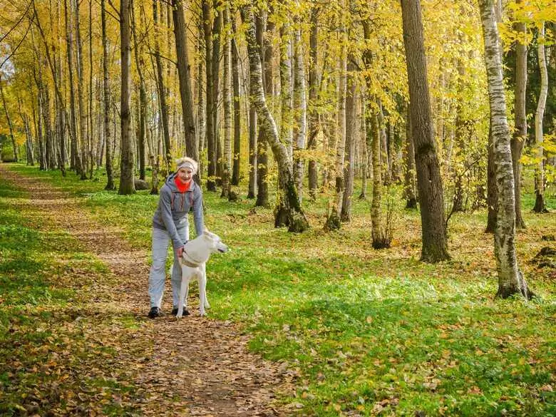 Was sind die Vorteile von regelmäßigem Gehen?