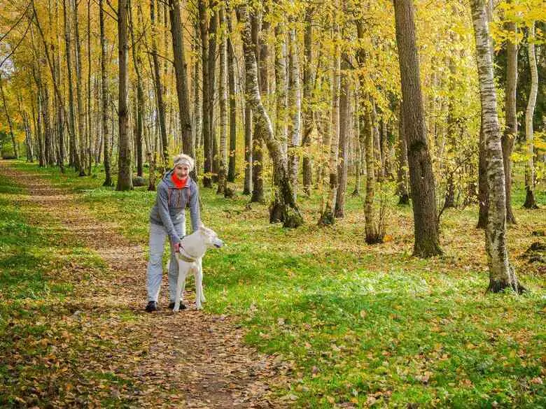 Was ist Psychoterratica?