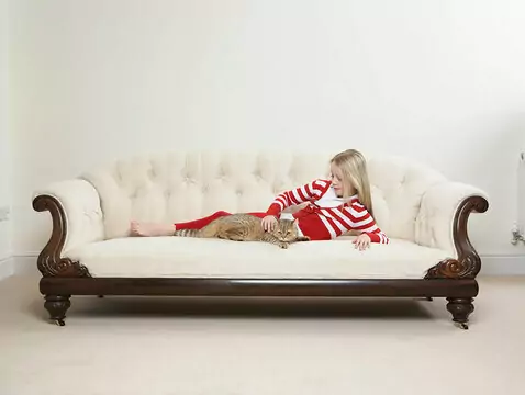 Weihnachtsputz mit den Augen eines Allergologen