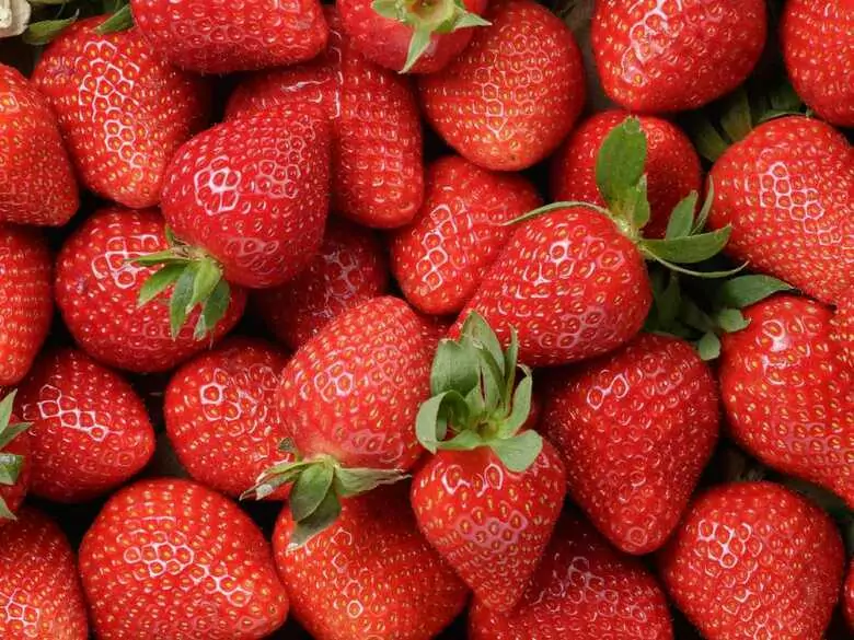 Was sind die Vorteile des Verzehrs von Erdbeeren?
