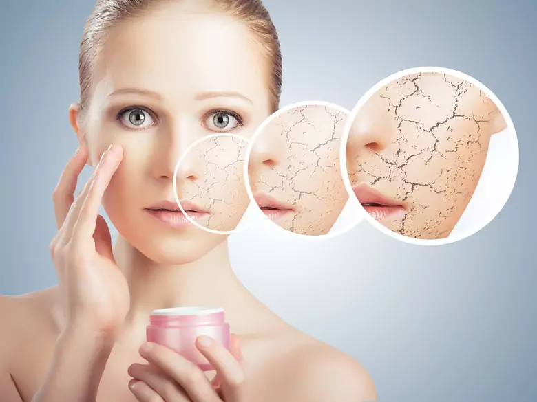 Wie ist die menschliche Haut aufgebaut?