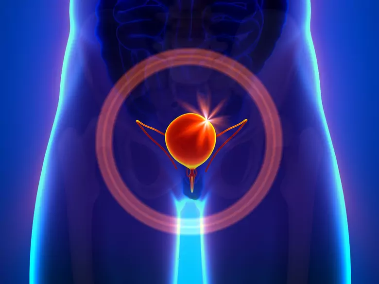 Was ist eine gesunde Ernährung für Menschen mit Harnwegsproblemen?