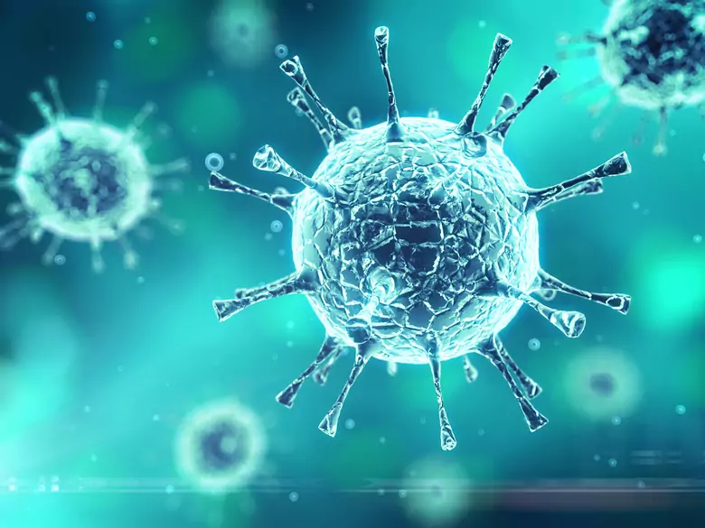 Rotavirus-Infektionen bei Kindern: Klinisches Bild und Grundsätze der Prävention.