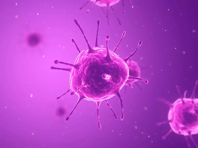 Schnelltest für Ebola-Virus zugelassen