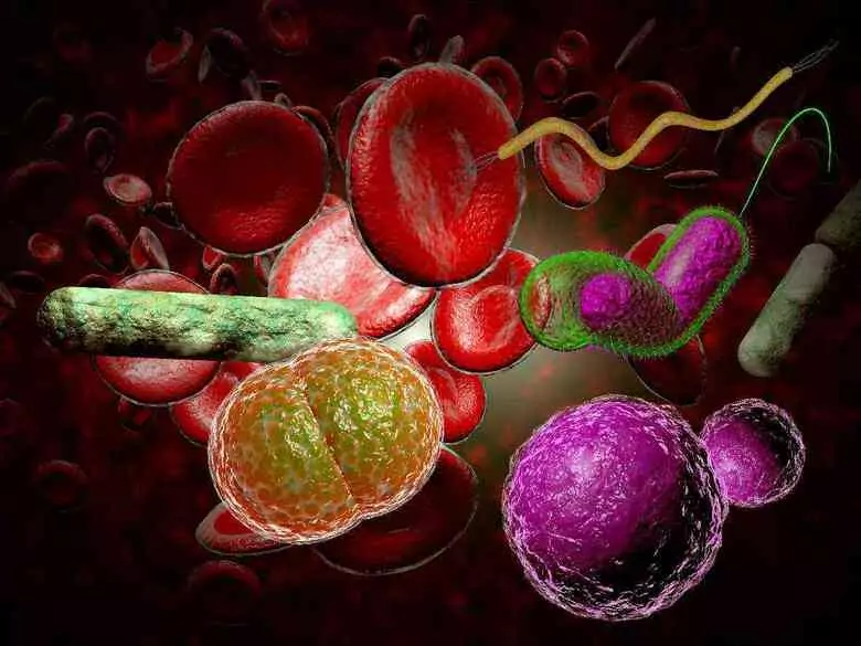 Im ungleichen Kampf gegen das Rotavirus