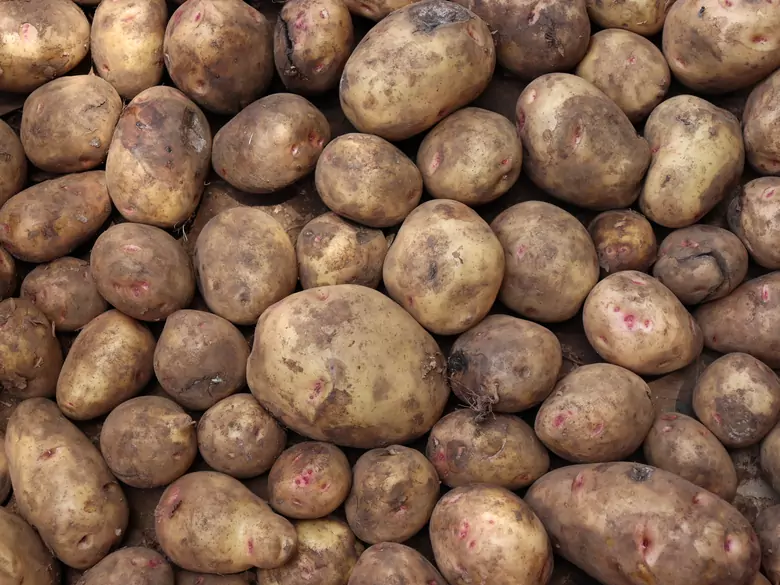 Was sind die Vorteile des Verzehrs von Kartoffeln?