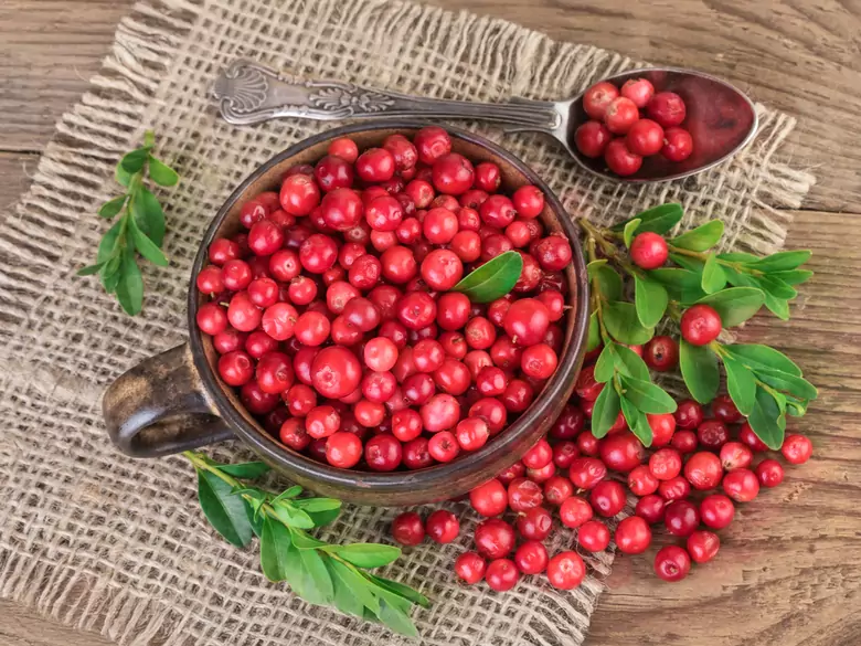 Was ist eine gesunde Ernährung für Menschen mit Nierenerkrankungen?